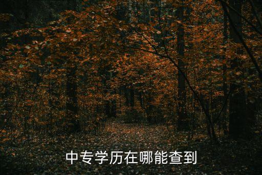 中專學歷在哪能查到