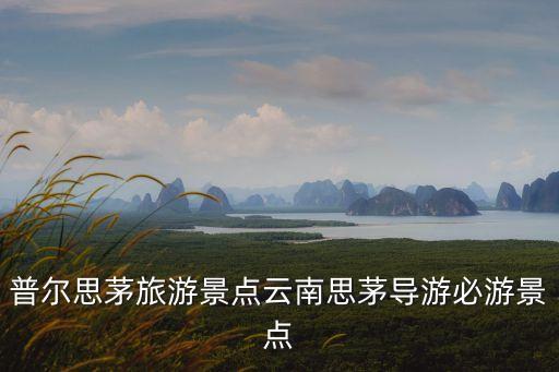 思茅港鎮(zhèn),思茅港鎮(zhèn)特色:港區(qū)建設(shè)已初具規(guī)模