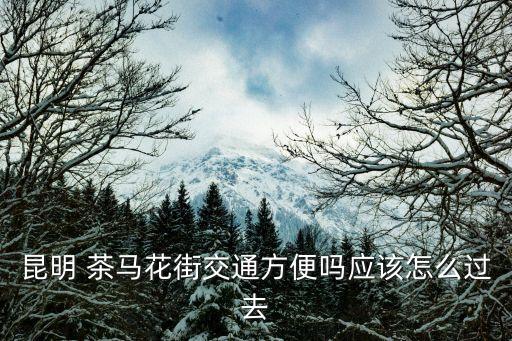 茶馬花街,到達云南茶馬花街能擺攤嗎?不能!