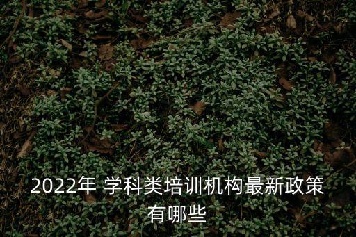 2022年 學科類培訓機構最新政策有哪些