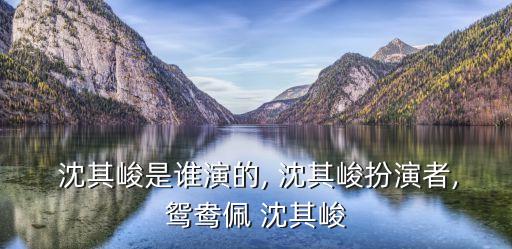  沈其峻是誰演的, 沈其峻扮演者,鴛鴦佩 沈其峻