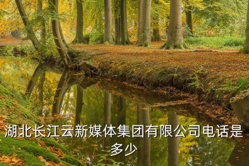 長江云通,湖北長江云新媒體集團有限公司電話是多少?