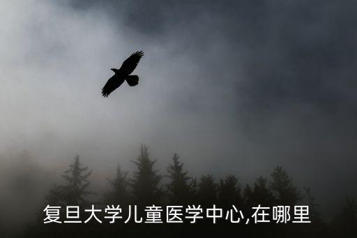 復旦大學兒童醫學中心,在哪里