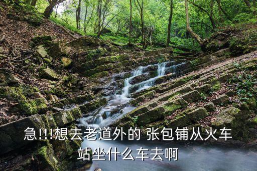 張包鋪,想去老道外張包鋪坐什么車?