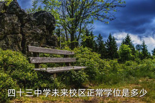 四十三中學未來校區正常學位是多少