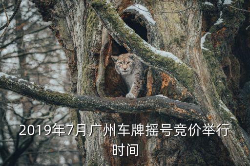 本月車牌,上海車牌價格多少?