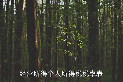 經(jīng)營所得個人所得稅稅率表