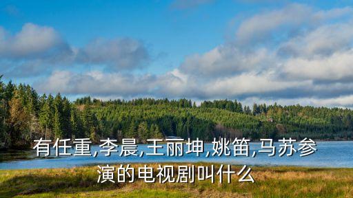 有任重,李晨,王麗坤,姚笛,馬蘇參演的電視劇叫什么