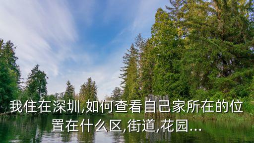 我住在深圳,如何查看自己家所在的位置在什么區,街道,花園...