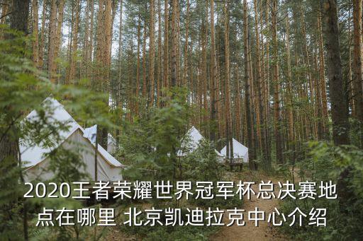 2020王者榮耀世界冠軍杯總決賽地點在哪里 北京凱迪拉克中心介紹