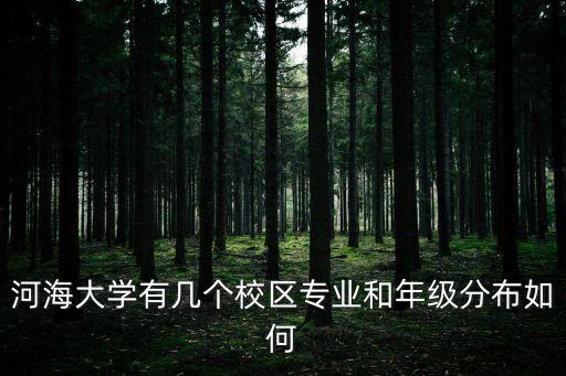 江蘇河海大學,河海大學在江蘇省南京市舉辦本地學府復課