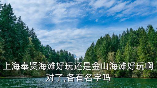 金山城市沙灘圖片,上海十大景點之一:金山城市沙灘