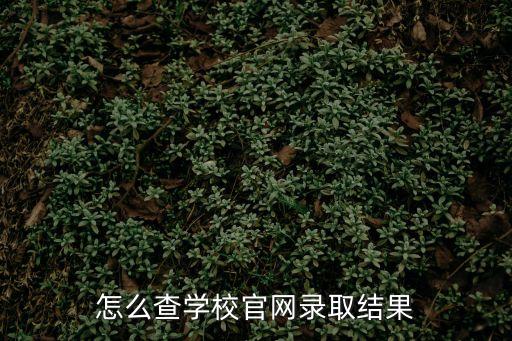 錄取情況查詢,高考錄取情況查詢怎么查?