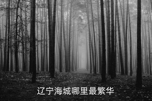 海城在哪里,遼寧海城什么都來自遼寧省