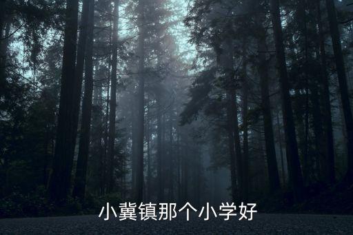  小冀鎮(zhèn)那個(gè)小學(xué)好