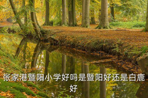 張家港暨陽小學好嗎是暨陽好還是白鹿好