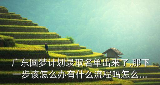  廣東圓夢計劃錄取名單出來了,那下一步該怎么辦有什么流程嗎怎么...
