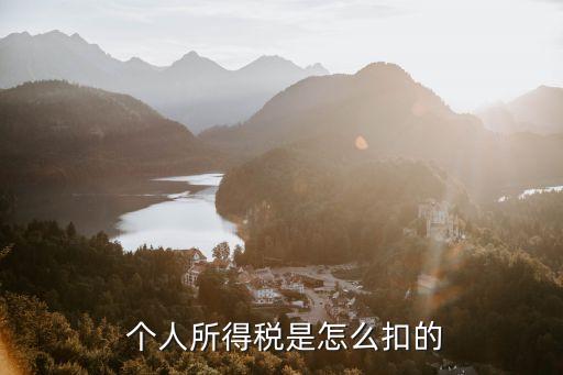 個人所得稅,什么是個人所得稅?