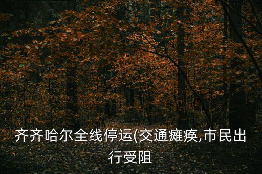 齊齊哈爾全線停運(交通癱瘓,市民出行受阻