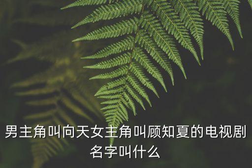男主角叫向天女主角叫顧知夏的電視劇名字叫什么