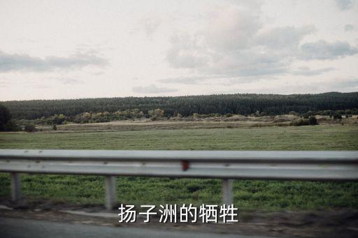 揚(yáng)子洲的犧牲