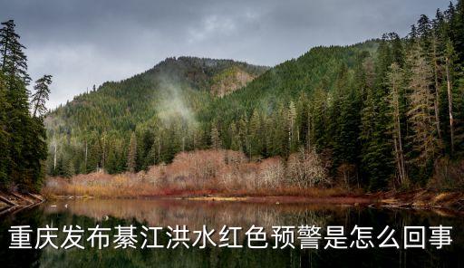 重慶大雨,重慶暴雨預警出門記得帶傘!