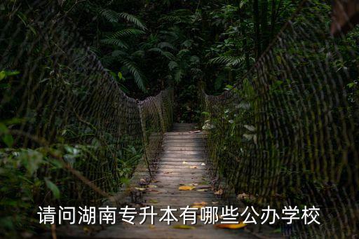 請問湖南專升本有哪些公辦學校