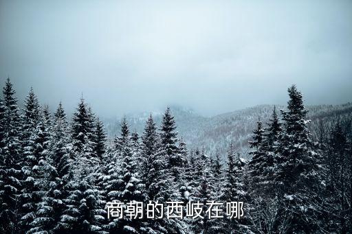 商朝的西岐在哪