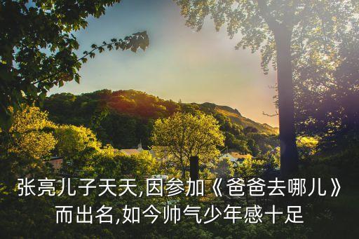 張亮兒子天天,因參加《爸爸去哪兒》而出名,如今帥氣少年感十足