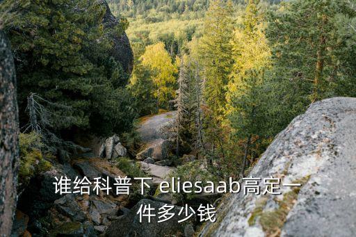 誰給科普下 eliesaab高定一件多少錢