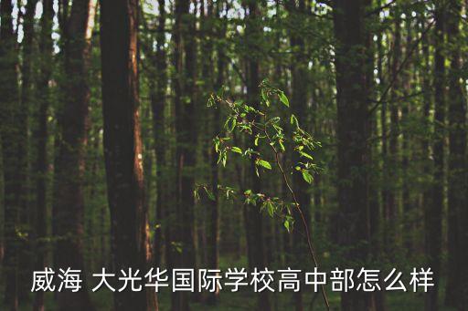 大光華,武漢大光華教育集團(tuán)旗艦學(xué)校哪個好?