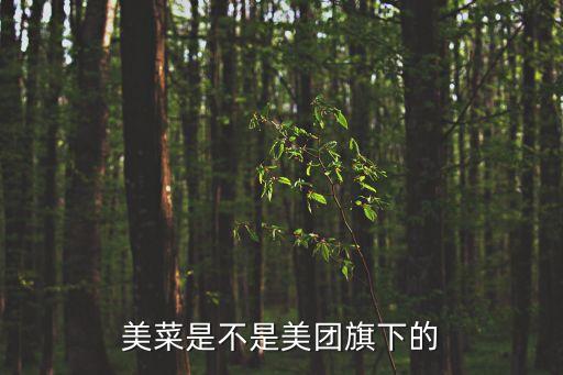 美菜是不是美團旗下的