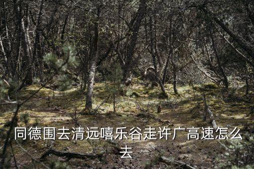  同德圍去清遠嘻樂谷走許廣高速怎么去