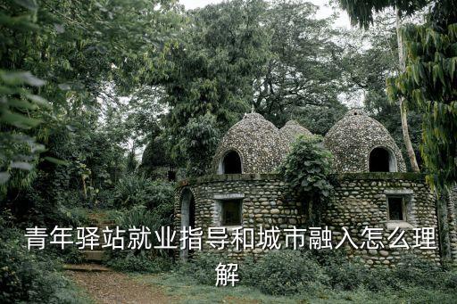  青年驛站就業(yè)指導(dǎo)和城市融入怎么理解