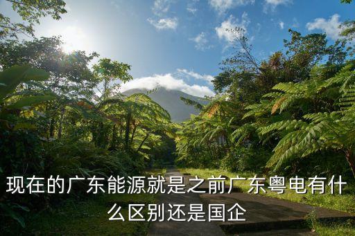 現在的廣東能源就是之前廣東粵電有什么區別還是國企