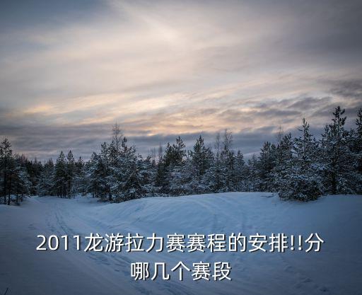 2011龍游拉力賽賽程的安排!!分哪幾個賽段