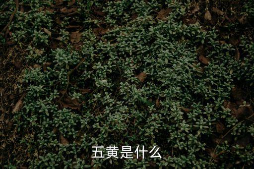 五黃是哪五黃,端午吃五黃是什么五黃!