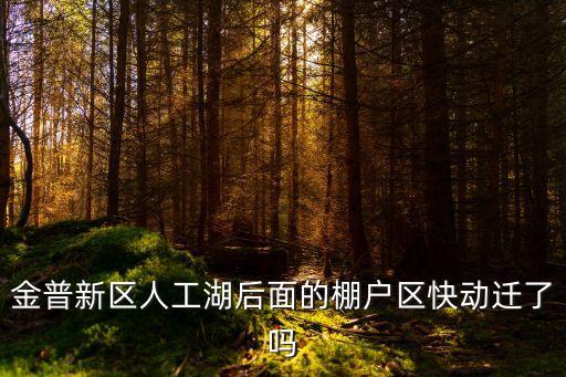 金普新區(qū)人工湖后面的棚戶區(qū)快動(dòng)遷了嗎