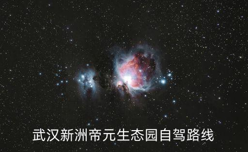新洲生態(tài)園,無錫新洲生態(tài)園燈光節(jié)活動還沒結(jié)束
