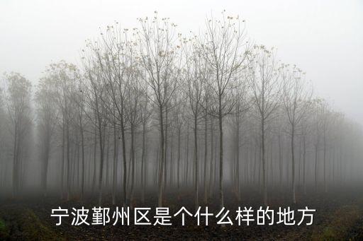  寧波鄞州區是個什么樣的地方