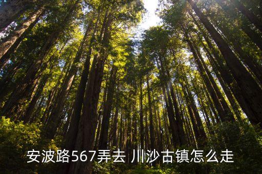 川沙古鎮,周沙古鎮往返浦東川沙和上海浦東