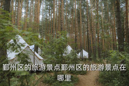 寧波鄞州區,寧波鄞州區有哪些大學?