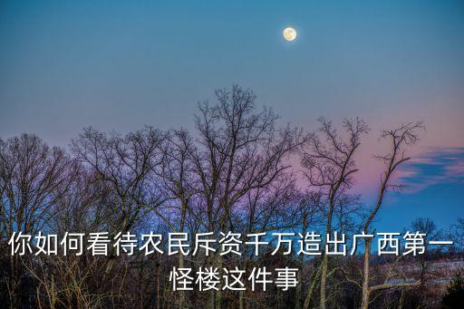 你如何看待農(nóng)民斥資千萬造出廣西第一 怪樓這件事