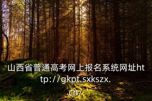 高考考生服務(wù)平臺(tái),成人高考信息服務(wù)平臺(tái)?