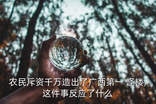 農(nóng)民斥資千萬造出了廣西第一 怪樓,這件事反應了什么