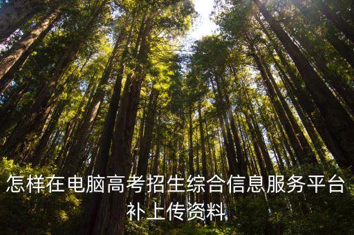 怎樣在電腦高考招生綜合信息服務平臺補上傳資料