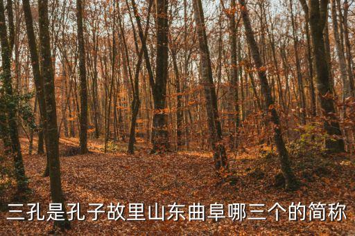 孔府在哪里,孔子的故鄉在山東曲阜?