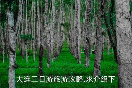 大連三日游旅游攻略,求介紹下