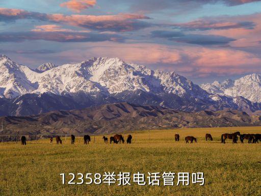 12358,12358找規律填數字:1、2、3、5，8、13，21