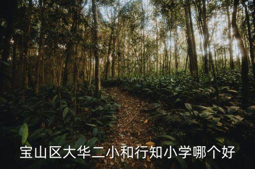 寶山區大華二小和行知小學哪個好